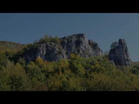 Saki Cosovic - Misir mali