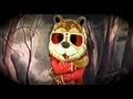 Oddity Archive Episode 26 5 VHS Vault Vol 1 Amvest Video COMMENTARY