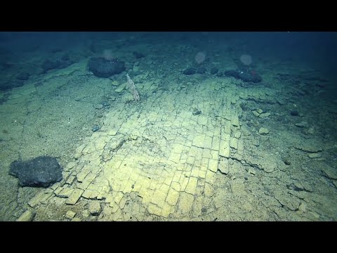 , title : 'Follow the 'Yellow Brick Road' to Geologic Features of Liliʻuokalani Ridge Seamounts | Nautilus Live'