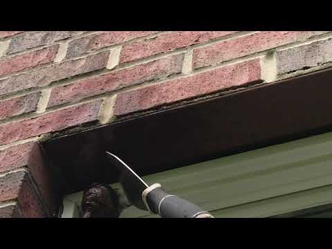 Safely Removing a Wasp Nest in Freehold, NJ