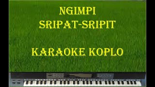 Download lagu NGIMPI-Sripat-Sripit-Koplo Dangdut mp3