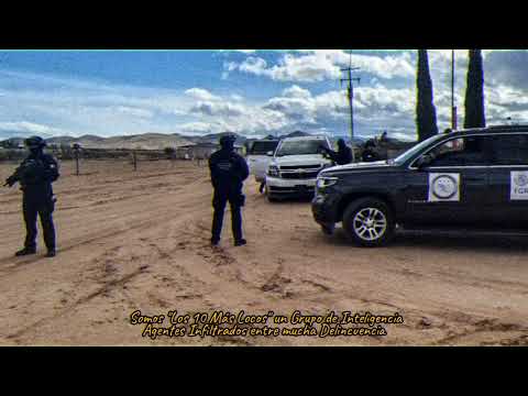 Infiltrados (Los 10 Más Locos) - Yibran Bélico