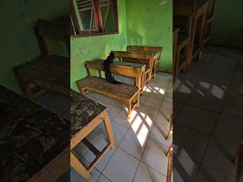 ada rambut hitam pekat di bangku sekolah gerak secepat kilat #trendingshorts