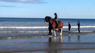 preview picture of video 'surfing with horsepower scotland'