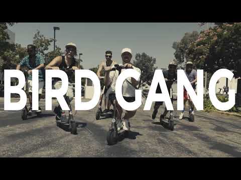 B I R D   G A N G