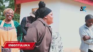 Download lagu IBUKEKA INGEKE IPHELE IMPI EPHAKATHI KWEZINTOMBI ZIKA MUFI NOMAKOTI OWALOTSHOLWA NGEZINKOMO.  mp3