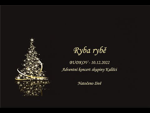 Ryba rybě