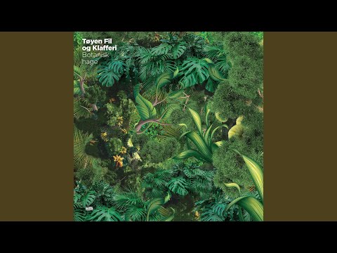 Sumar (Arr. by Tøyen Fil og Klafferi for Cello, Violin, Clarinet and Flute)