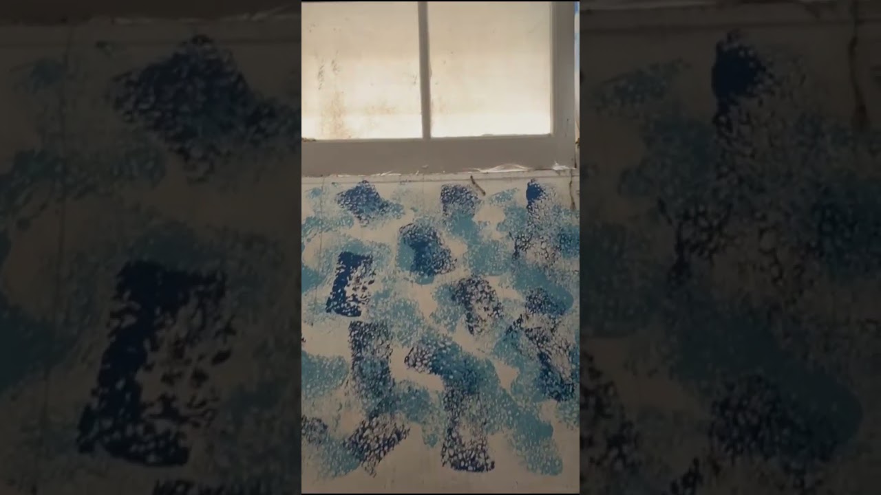 Vídeo do imóvel