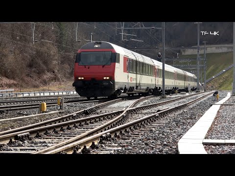 Züge in Effingen - SBB IR 36