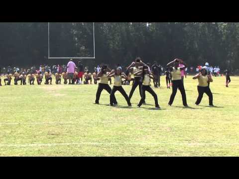 Decatur Army Dancers 2014