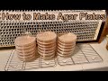 How to Make Agar Plates for Growing Mushrooms