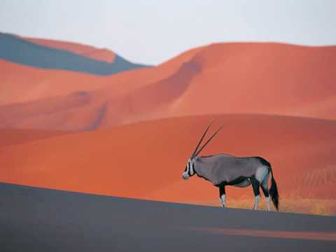 New Remix Franz Ferdinand & Keisha 2010!