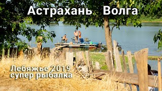 Рыболовная база камызякский район астраханской области