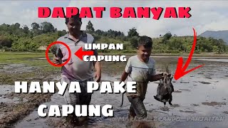 Download lagu Cara Cepat Menangkap Burung Mandar Atau Sirara Baringbing - COBA PAKE INI ‼️ mp3 Download lagu Cara Cepat Menangkap Burung Mandar Atau Sirara Baringbing - COBA PAKE INI ‼️ mp3