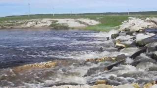 Река леметь в ардатове рыбалка