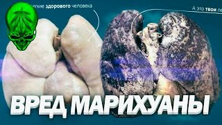 Как влияет рыбалка на здоровье курение травы