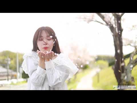 【佐賀キャンパス】桜