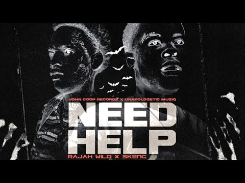 Skeng x RajahWild - Need Help (Official Audio)