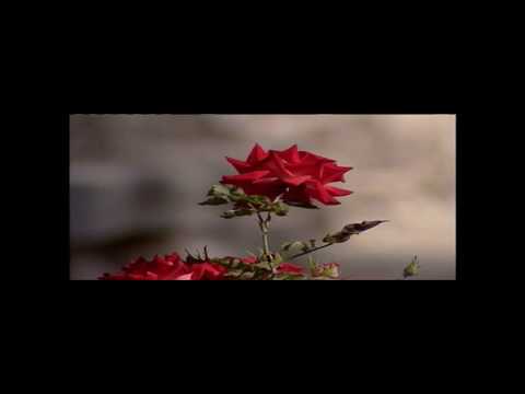 "Sobre Todo"  Letra musica cristiana