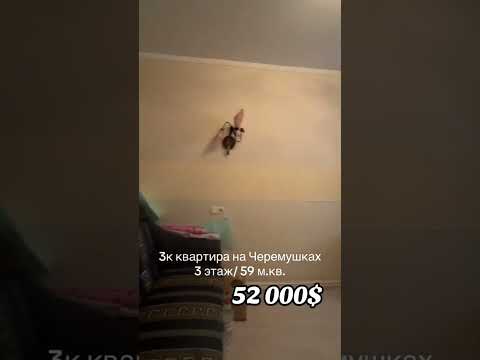 Трехкомнатная квартира на Черемушках, ул. Ивана и Юрия Лип/ Ген. Петрова (Евгения Танцюры).