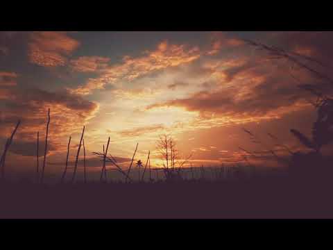 LOVE BLIND by Emerson Lake Powell