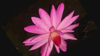 Someone Who Cares - Kenny Rogers