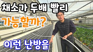 채소가 두배 빨리 자랄수 있을까? 비닐하우스 난방에 온돌을 #호야온돌