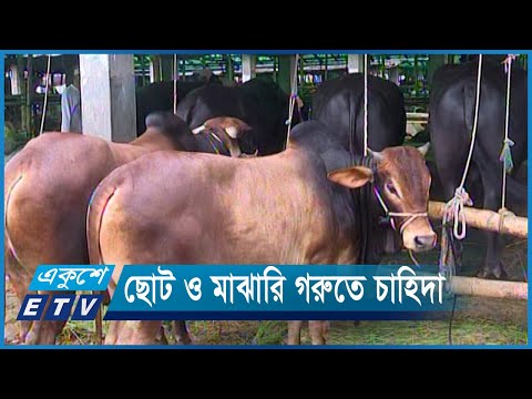 রাজধানীর হাটে ভরপুর পশু, ক্রেতা কম | ETV News