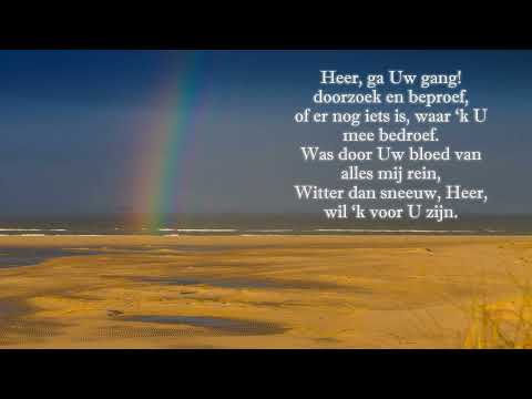 Heer ga Uw gang ( Johannes de Heer 799 )