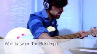 Donald Fagen - Walk between The Raindrops (Bass Cover)