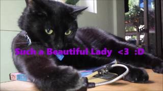 Nikitas book reading mm 12092016  1043am