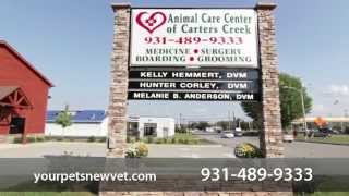 preview picture of video 'Animal Care Center of Carters Creek - Short | Columbia, TN'