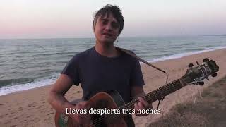Peter Doherty - Flags Of The Old Regime (Subtitulada)