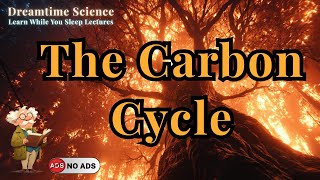 Unraveling Carbon's Role in Life's Cycle