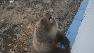 Розшифровка помилки 18663 Volkswagen