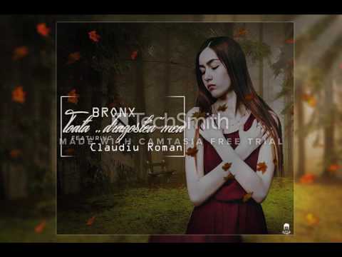 Marius Mihaila ( BR0NX ) ft. Claudiu Roman - Toata "dragostea" mea