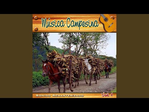 Las Hijas del Barrio