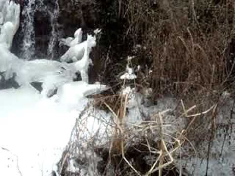 Curreli te kajosht - Miratoc