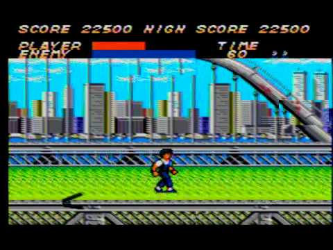 Vigilante Master System