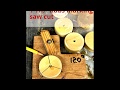 How to make a 3 blade windmill whirligig Propeller Hub diy with table saw Miter gage extension