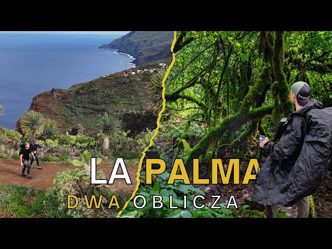 La palma 🌴🐍 Trekking in the ivy maze and mighty cliffs 🐉👣 La Zarza, Canary Islands 🔭🏝️🌋
