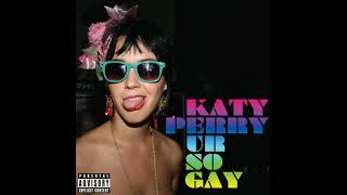 Katy Perry Ur So Gay (Remix) (Audio)