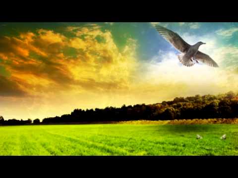 Moonbeam Feat Leusin - Daydream (eximinds Remix)