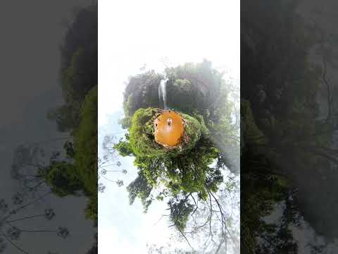 quem gosta de cachoeira curte, quem gosta de praia nesse calor comenta uma aí pra eu ir #cachoeira