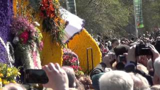 Парад цветов в Амстердаме (его окрестностях) - April 20, 2013