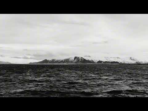 Roy Malakian, C-Rouge feat. Jamie Fallon Smith — Humanity