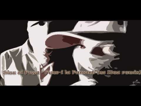 Sisu si Puya - Pune-i la Pamant (nu IDea remix)