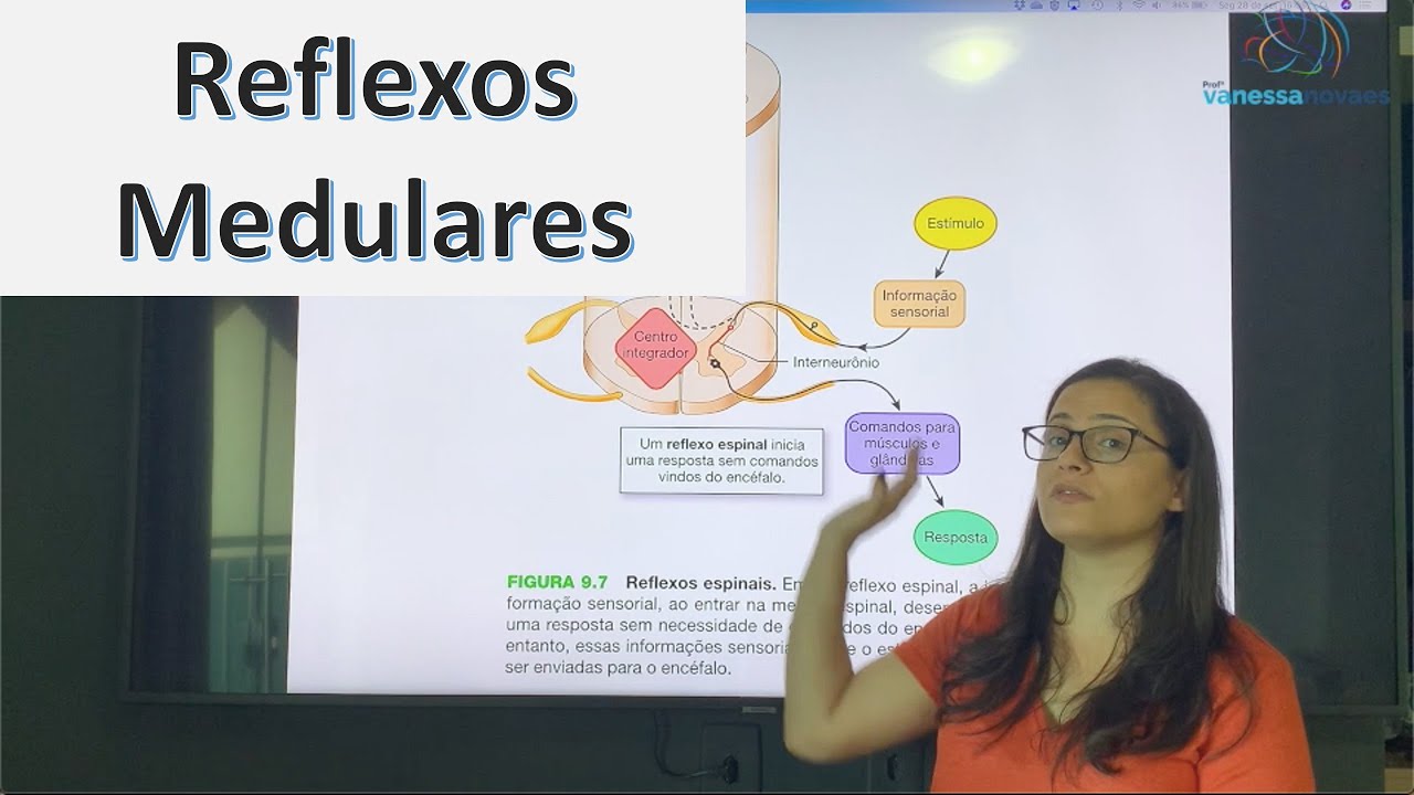 Reflexos Medulares