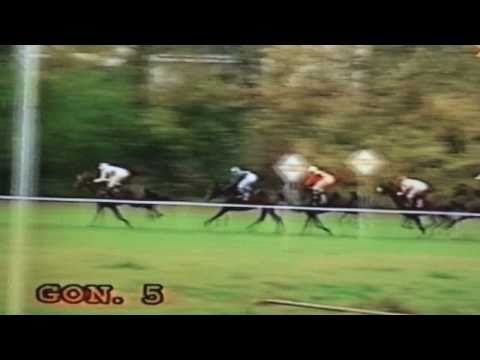 Nagroda Mokotowska - 18.10.1998 - Hipokrates (Alywar - Hipoteza)